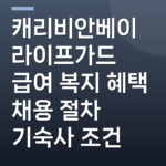 캐리비안베이 라이프가드 급여 복지 혜택 채용 절차 기숙사 조건