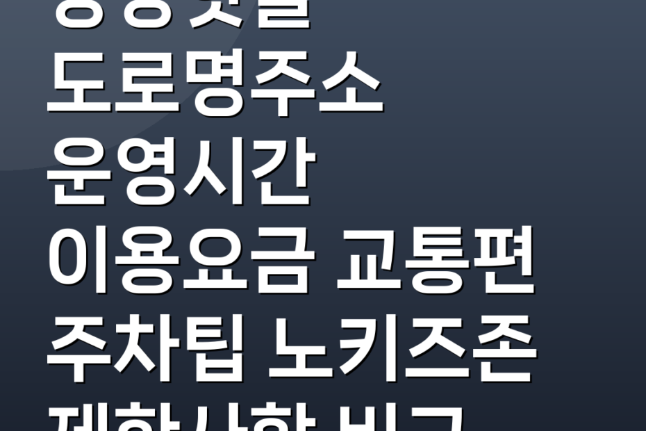 양양핫플 도로명주소 운영시간 이용요금 교통편 주차팁 노키즈존 제한사항 비교