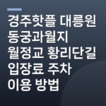 경주핫플 대릉원 동궁과월지 월정교 황리단길 입장료 주차 이용 방법