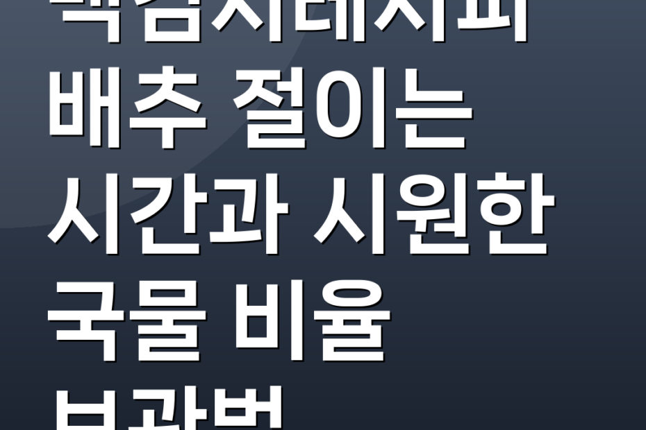 백김치레시피 배추 절이는 시간과 시원한 국물 비율 보관법