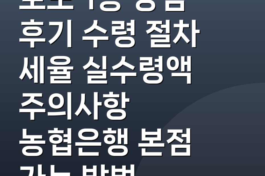 로또 1등 당첨 후기 수령 절차 세율 실수령액 주의사항 농협은행 본점 가는 방법