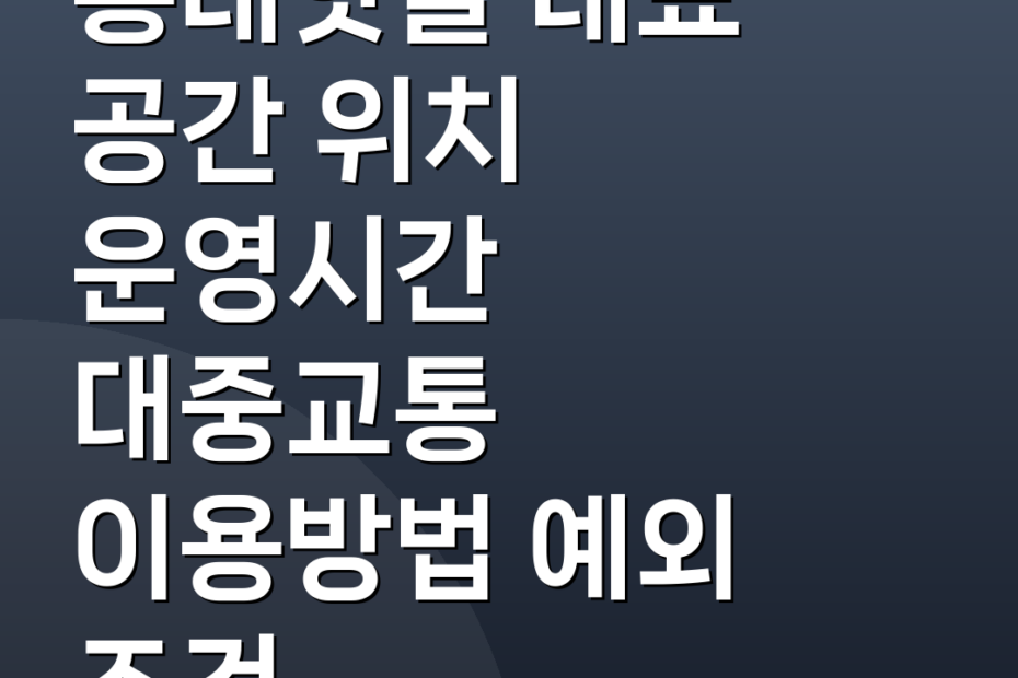 홍대핫플 대표 공간 위치 운영시간 대중교통 이용방법 예외 조건