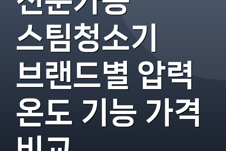 전문가용 스팀청소기 브랜드별 압력 온도 기능 가격 비교