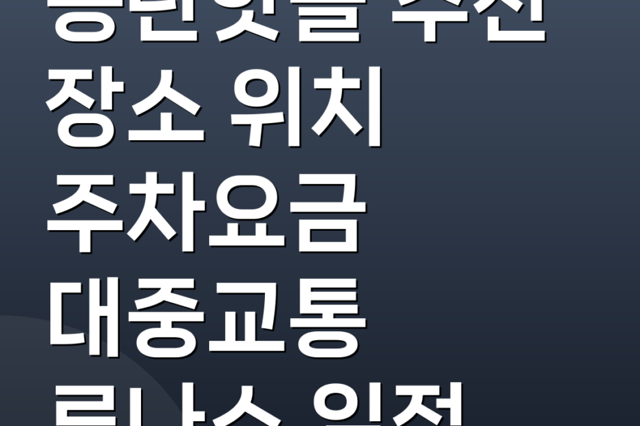 동탄핫플 추천 장소 위치 주차요금 대중교통 루나쇼 일정