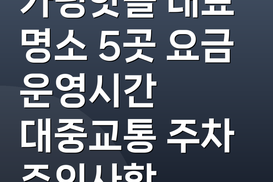 가평핫플 대표 명소 5곳 요금 운영시간 대중교통 주차 주의사항