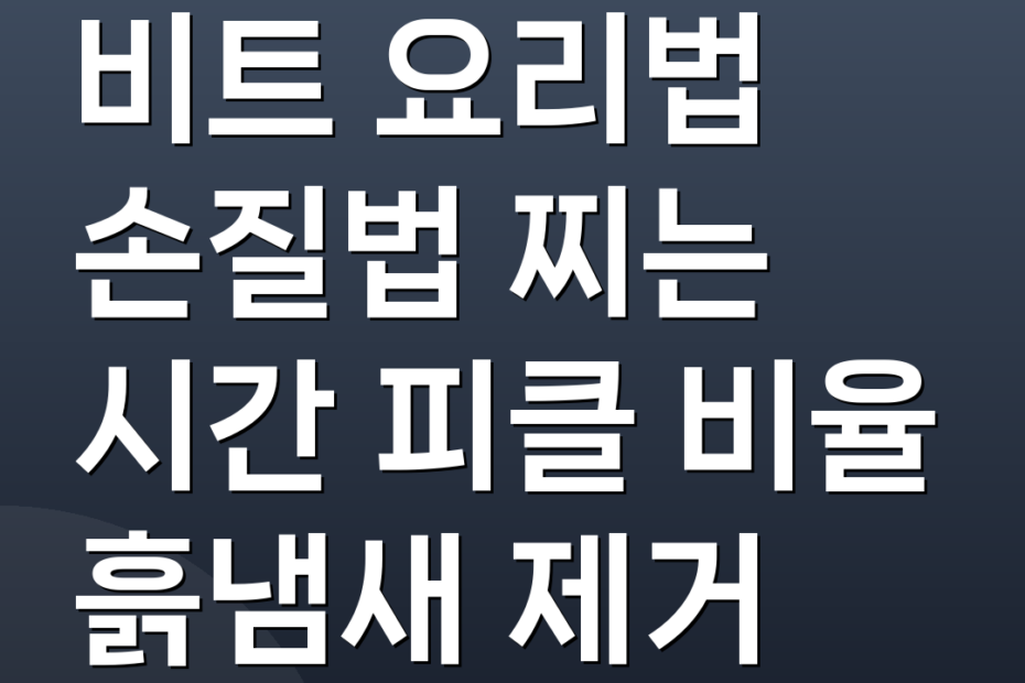 비트 요리법 손질법 찌는 시간 피클 비율 흙냄새 제거